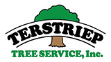 Terstriep Tree Service